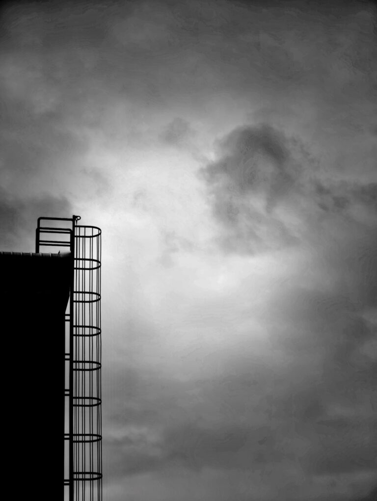 Photo by Hung Pham