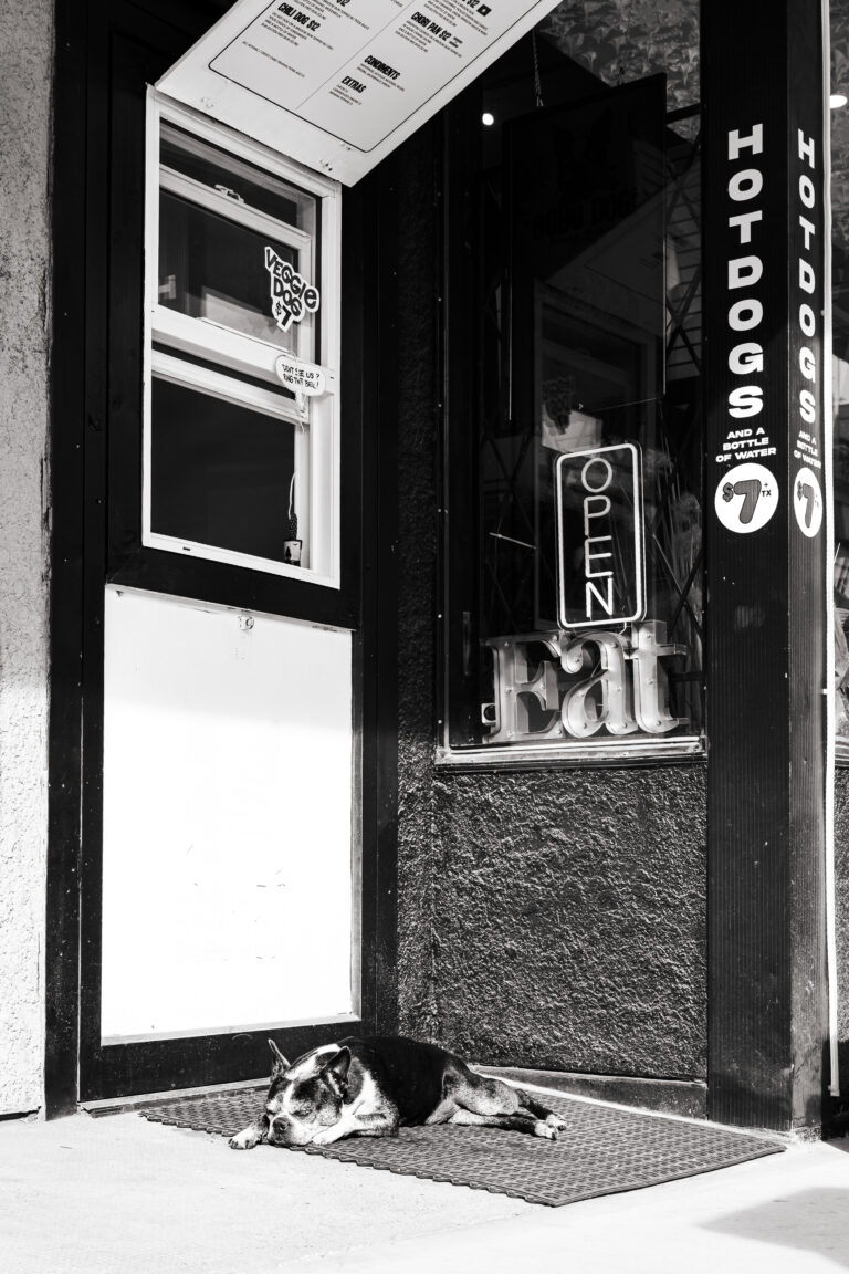 Photo by Ajay Lange