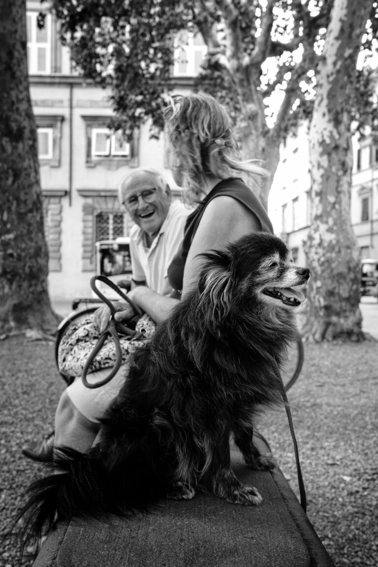 Photo by Thomas Bassetti