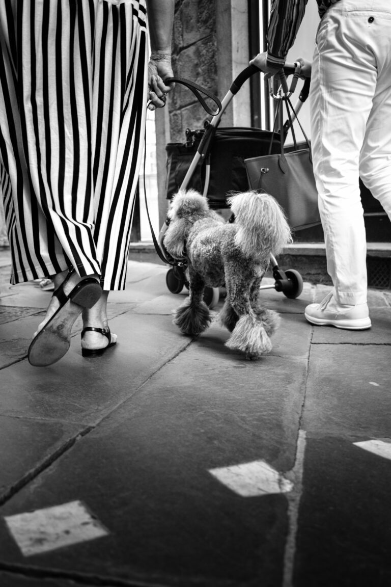 Photo by Thomas Bassetti