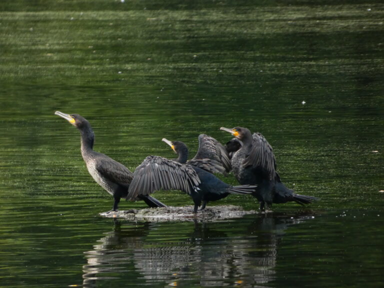 Photo by Yusuf Gungor