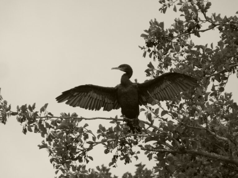 Photo by Yusuf Gungor