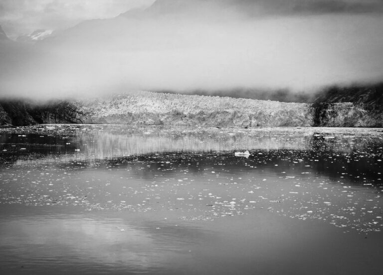 Photo by Kelly Wright