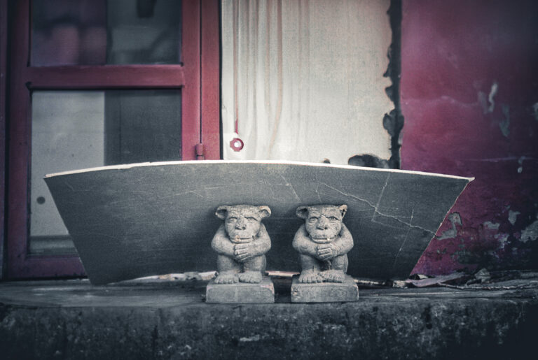 Photo by Alex 艾老师