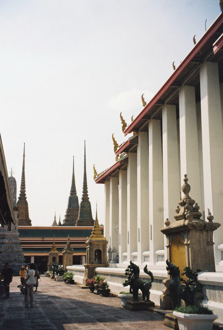 Photo by Amelia Krüger