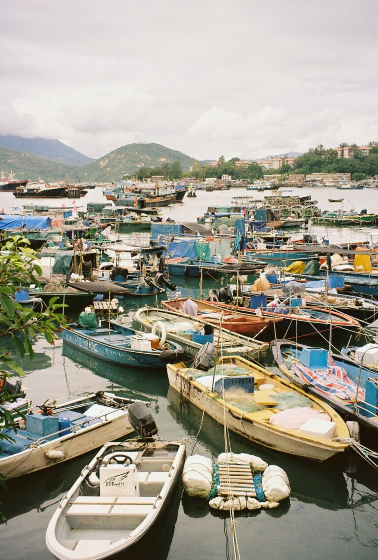 Photo by Amelia Krüger
