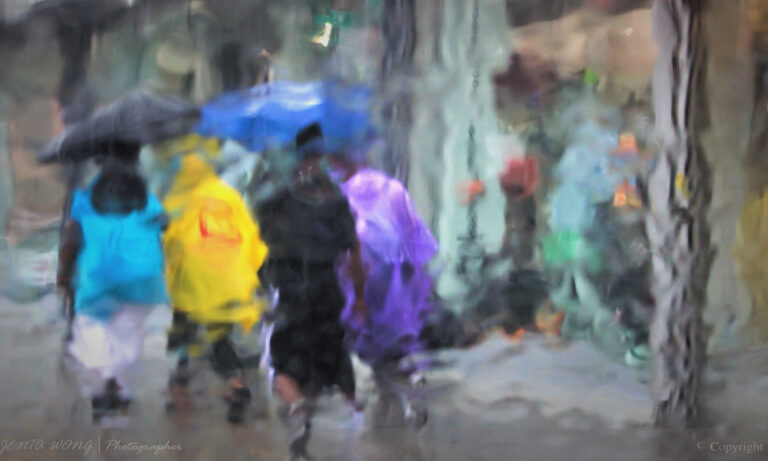 Photo by Jenta Wong