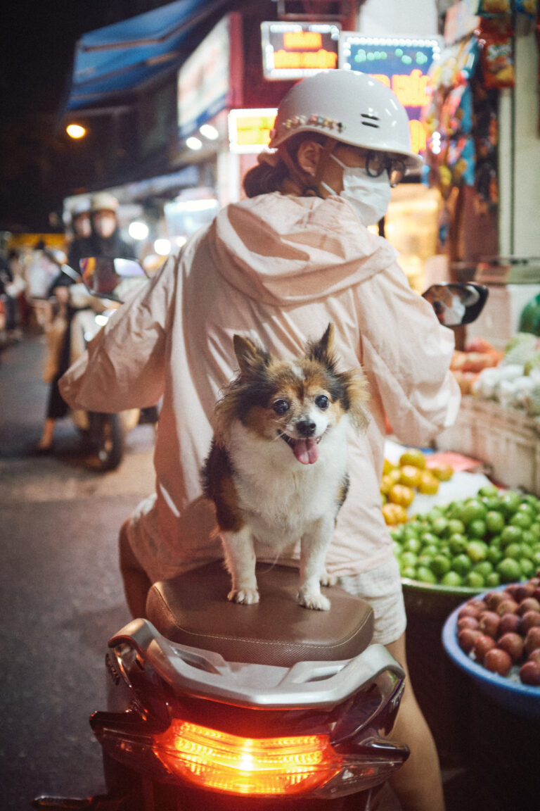 Photo by Mohamed Sameer
