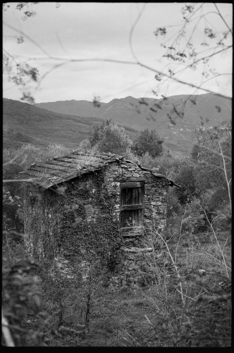 Photo by Valentino Passerini