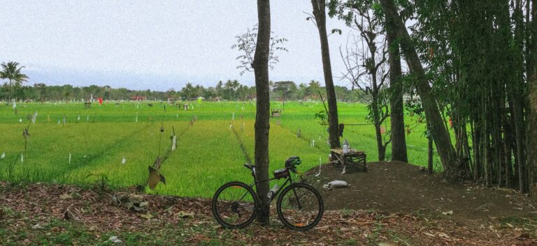 Photo by Fajar Rizki