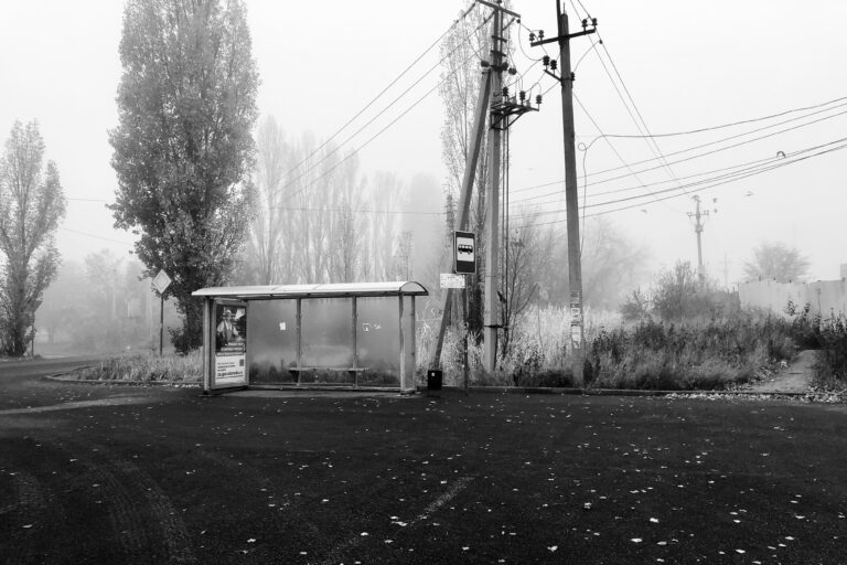 Photo by Ilya Borotinsky