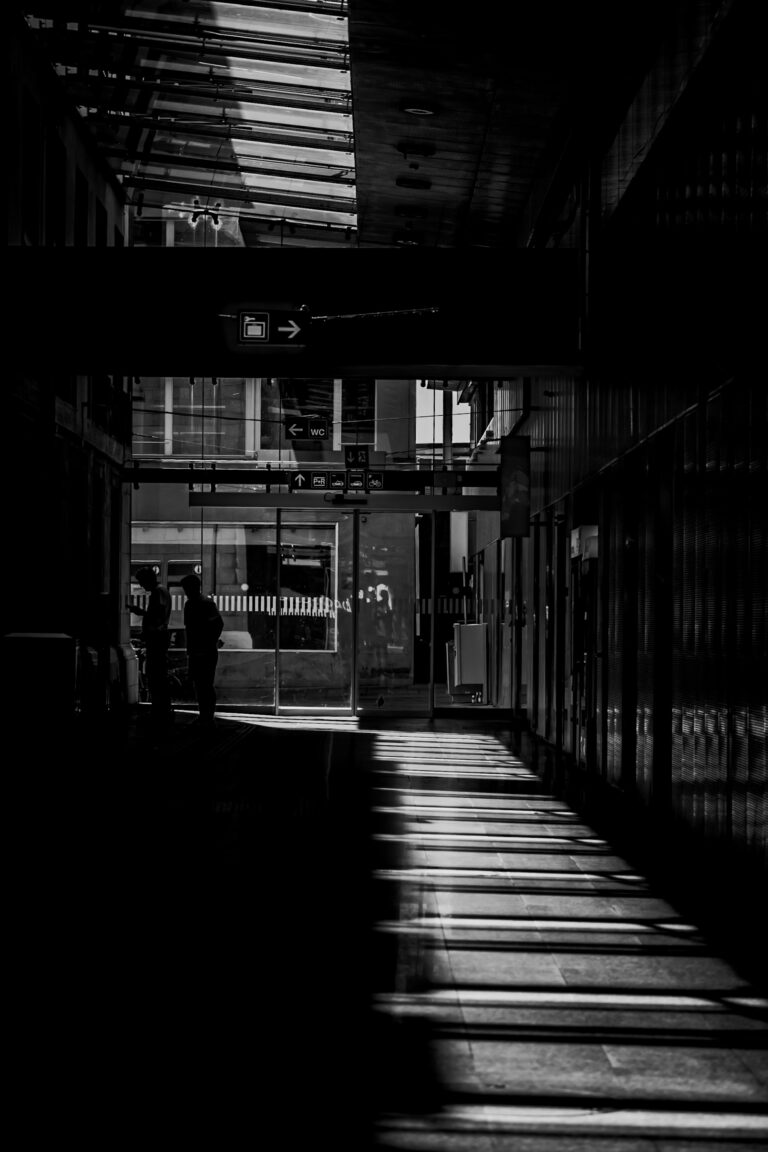 Photo by Alex Batista