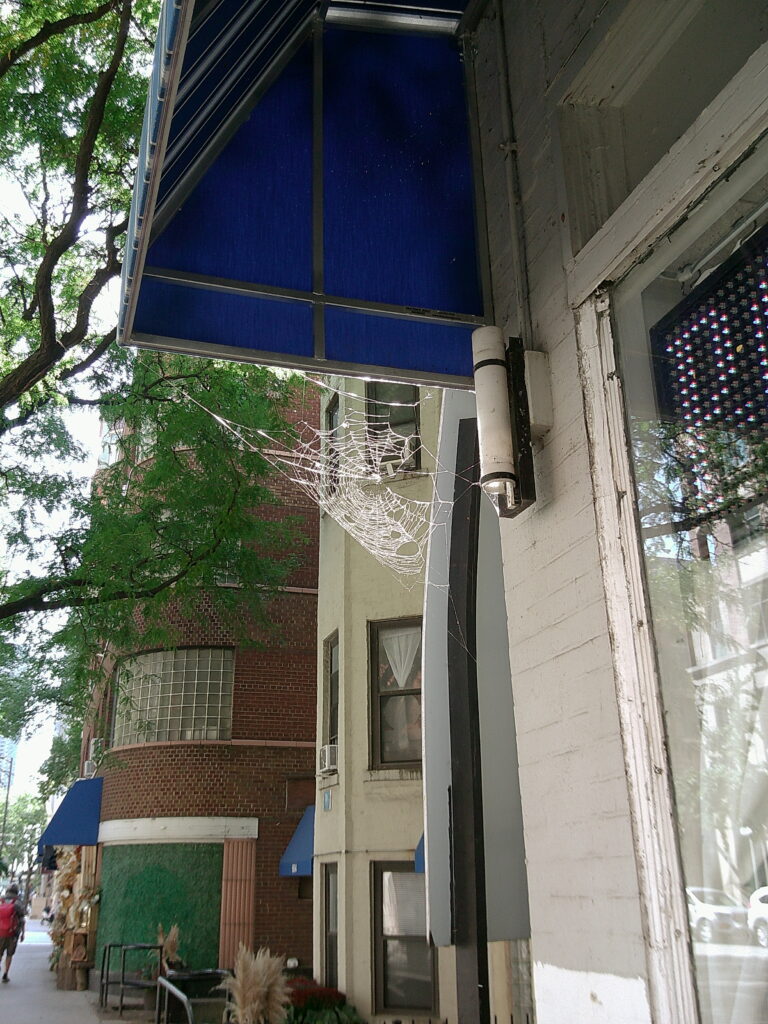 Digital Camera
