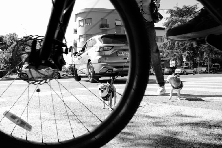 Photo by Thomas Bassetti