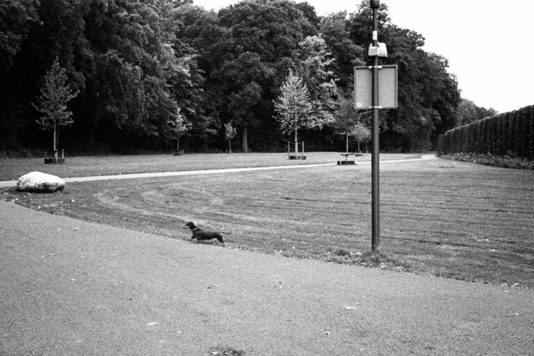 Photo by Marcel Konstapel