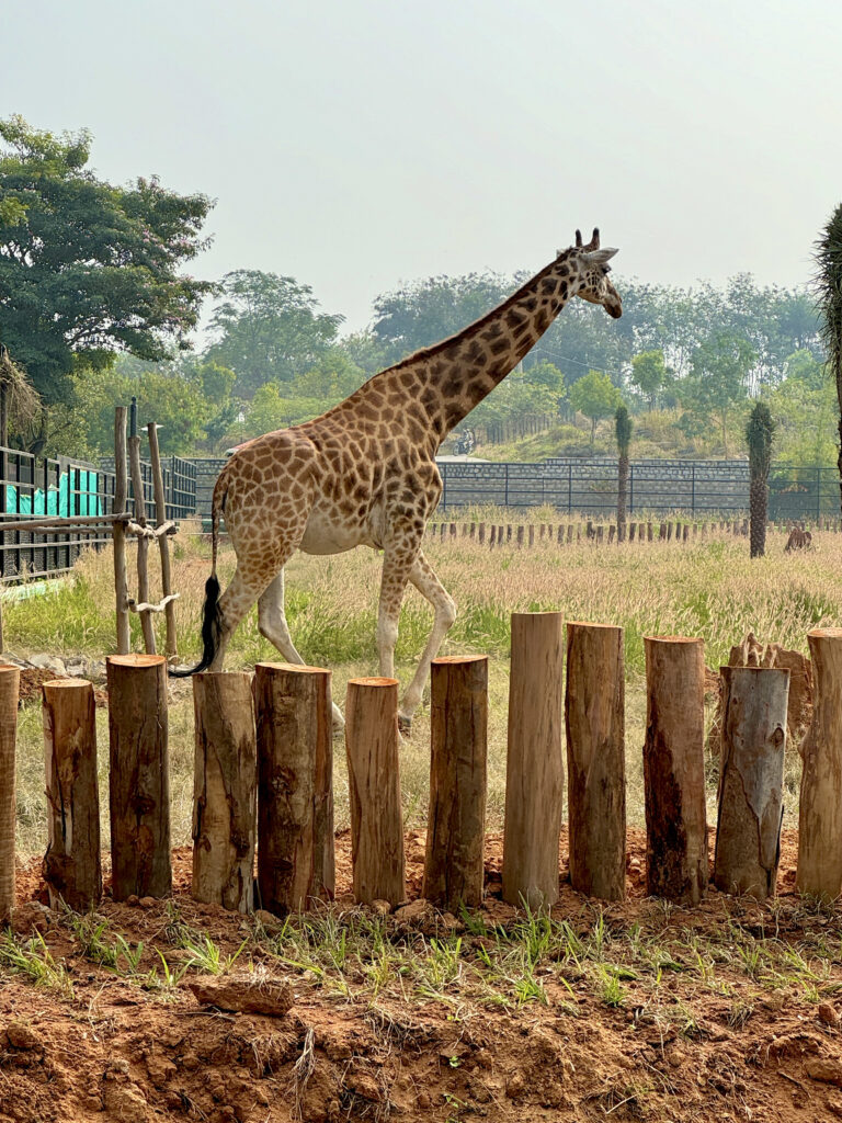 Photo by Demon Bentley