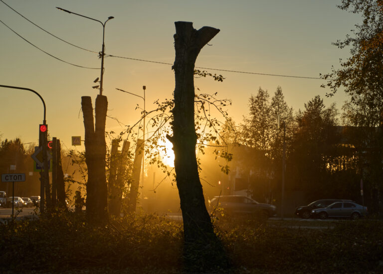 Photo by Alexander Laputko