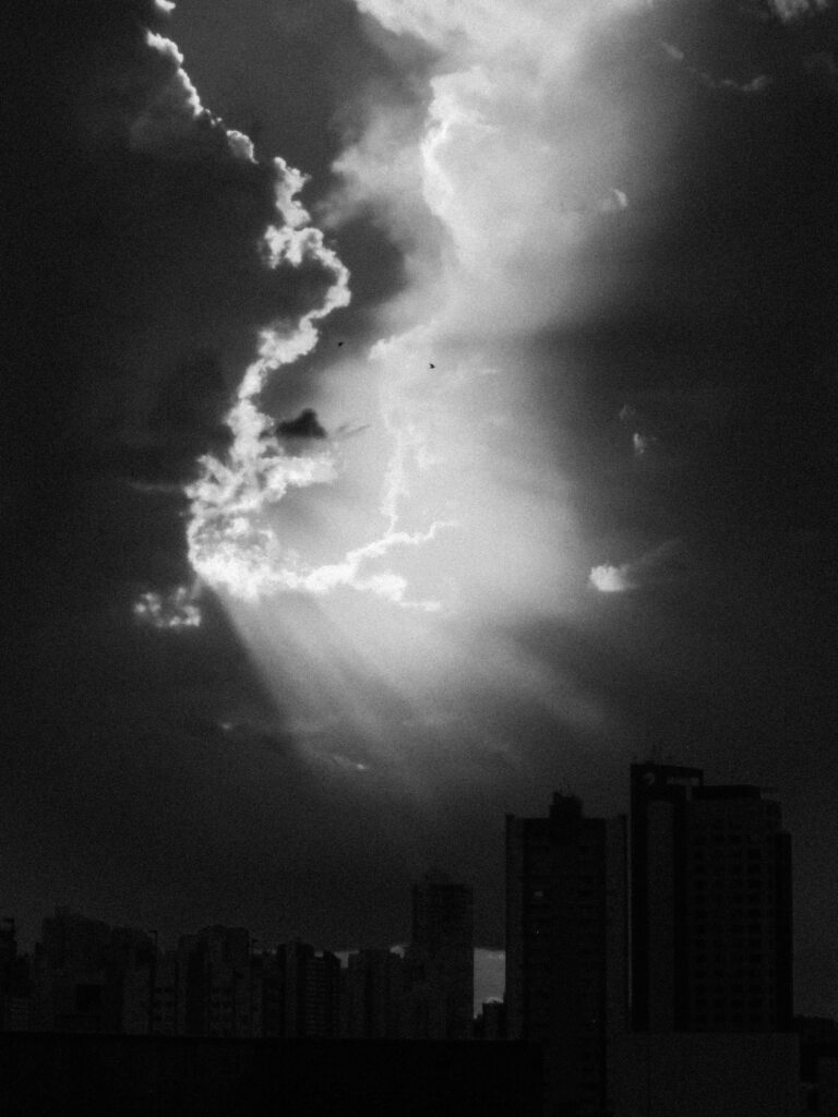Photo by Amanda Reis