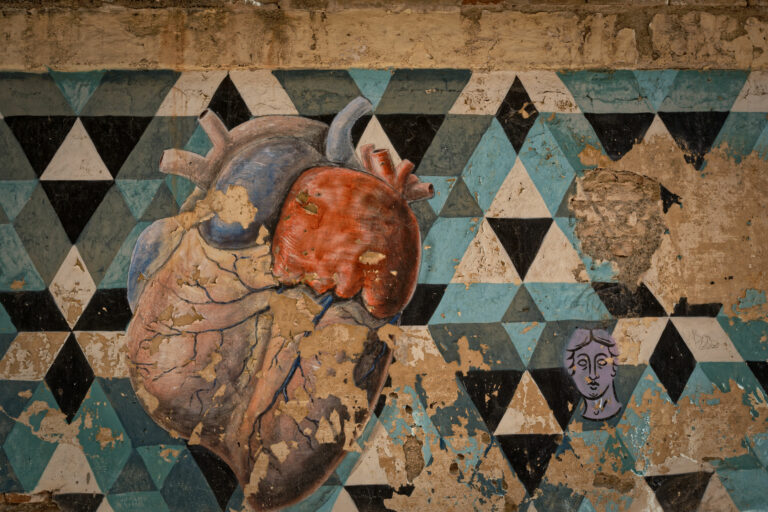 Photo by Trevor Morse