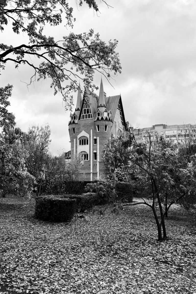 Photo by Ilya Borotinsky