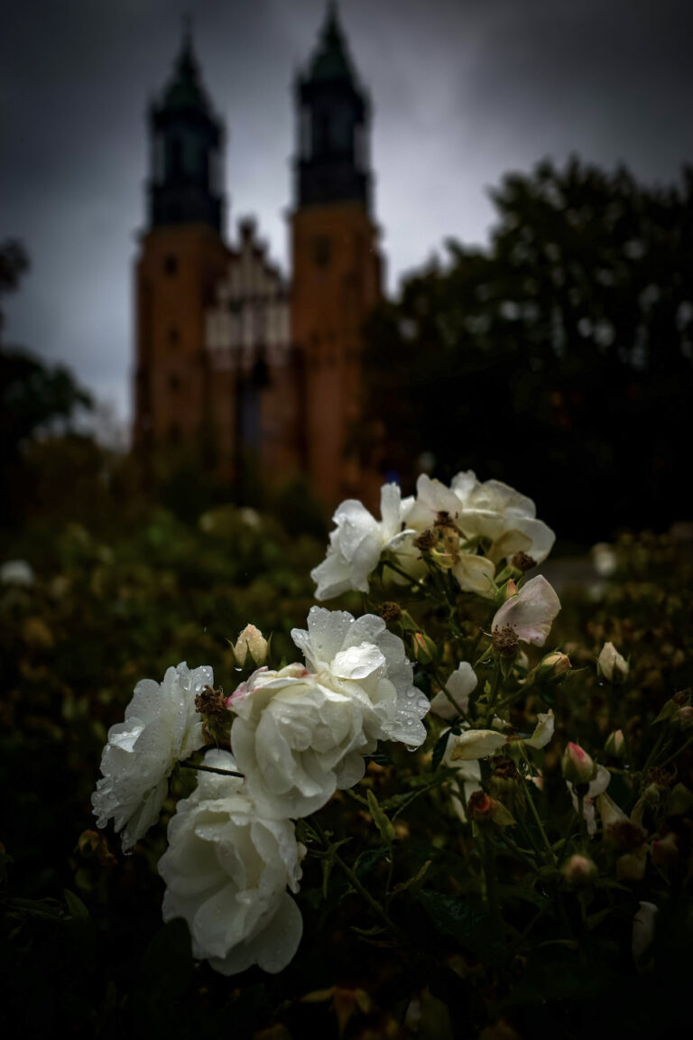 Photo by Lucas Harter