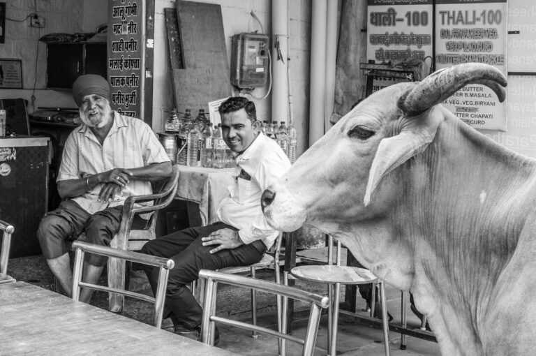Street photo in Pushkar, India by Matt P.