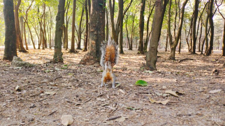 Photo by Tenochtitlan cuidad de México