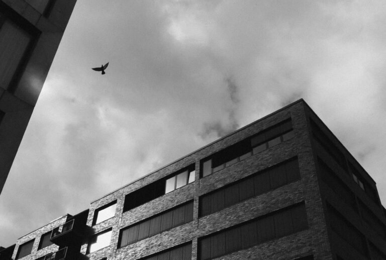 Photo by Ricardo Garcia