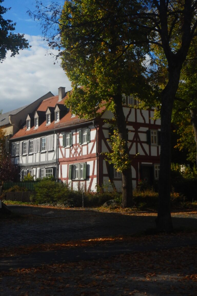 Photo by Diego Binder