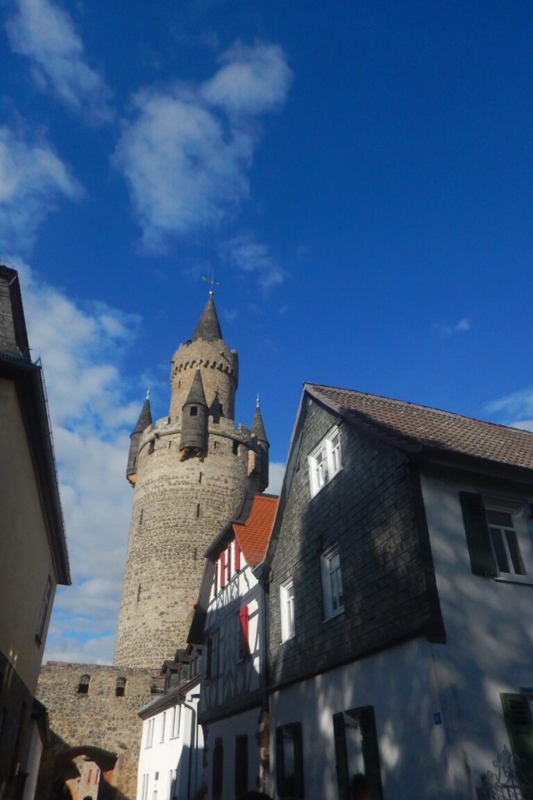 Photo by Diego Binder