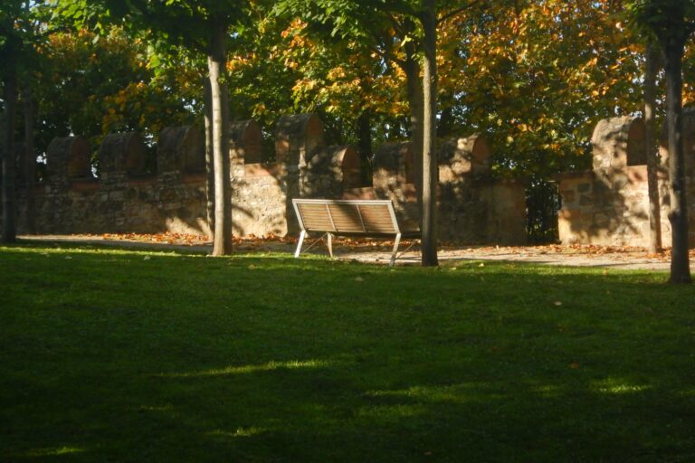 Photo by Diego Binder