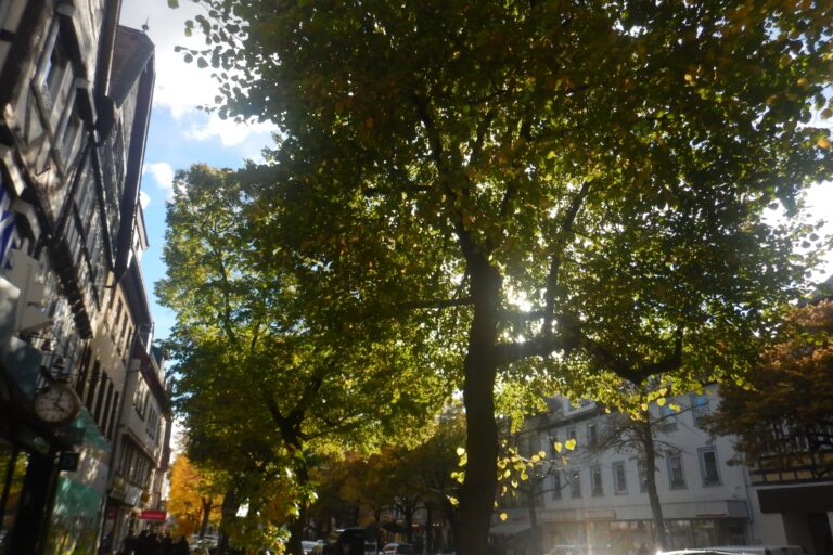 Photo by Diego Binder