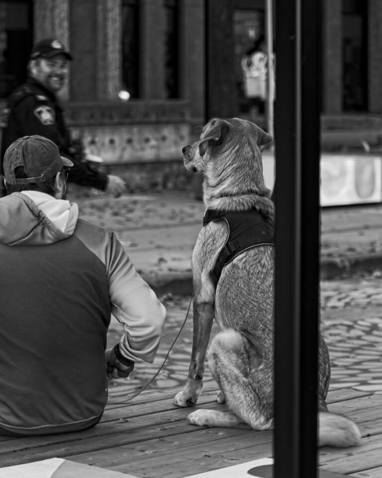 Photo by Mike Carter