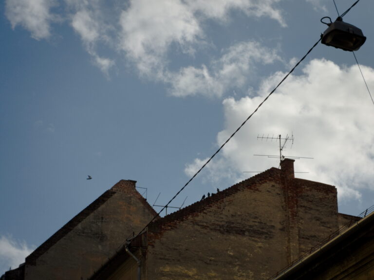 Photo by Máté Léber