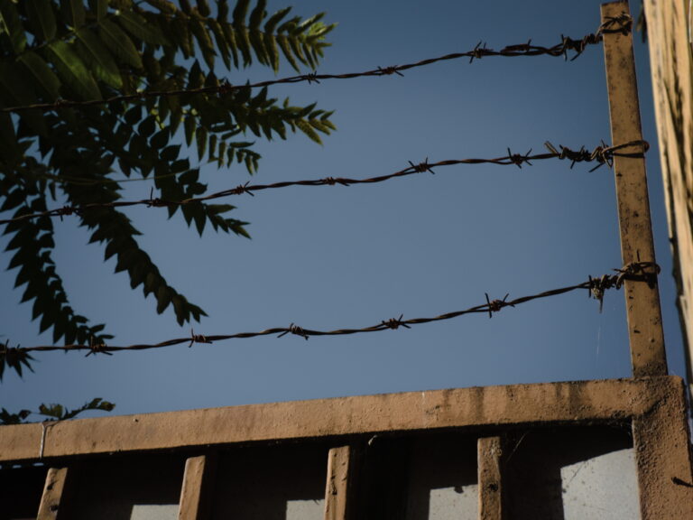 Photo by Máté Léber