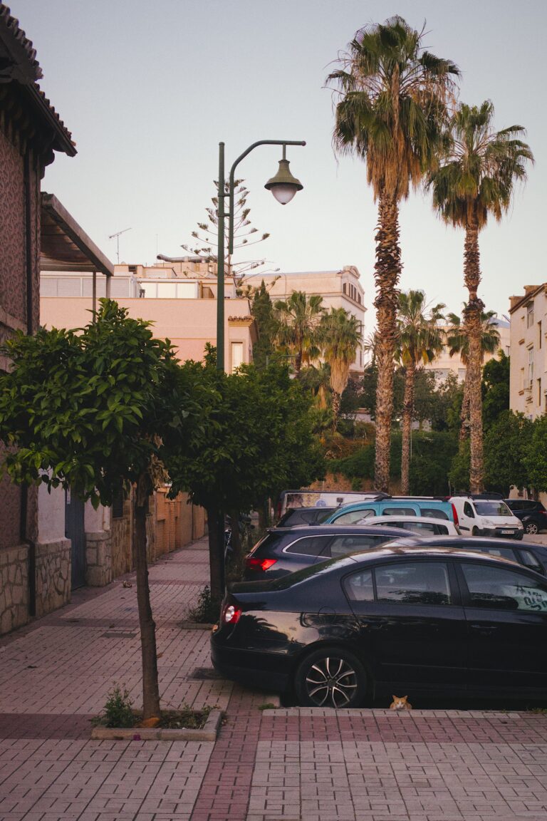 Photo by Pascal Hoerner