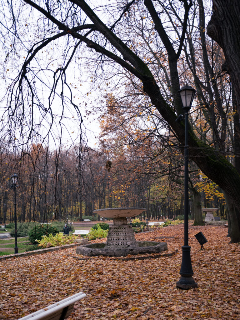 Photo by Dmitry Korol