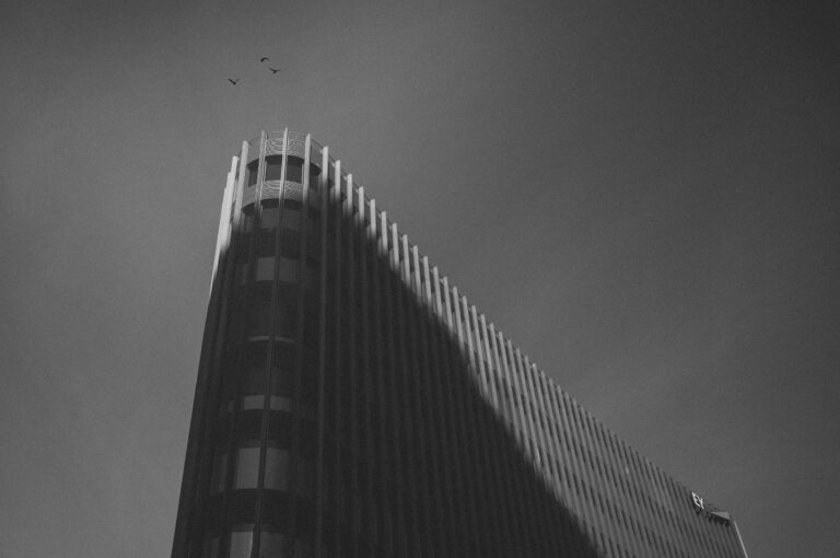 Photo by Ricardo Garcia