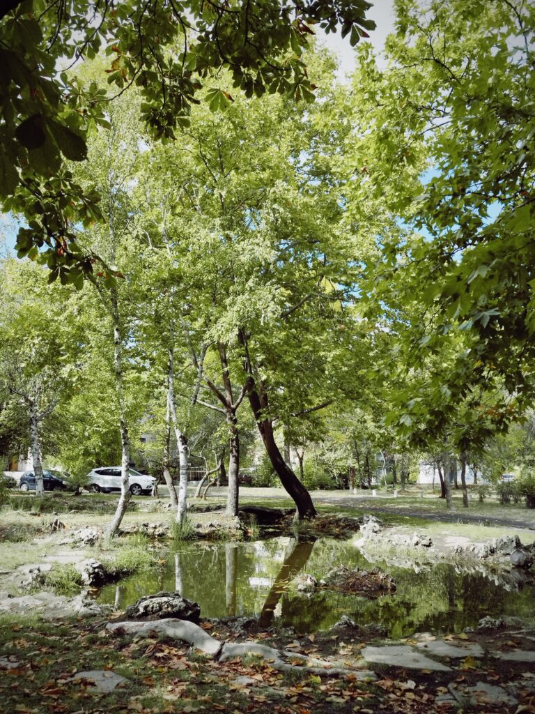 Photo by Aycha Feyzula