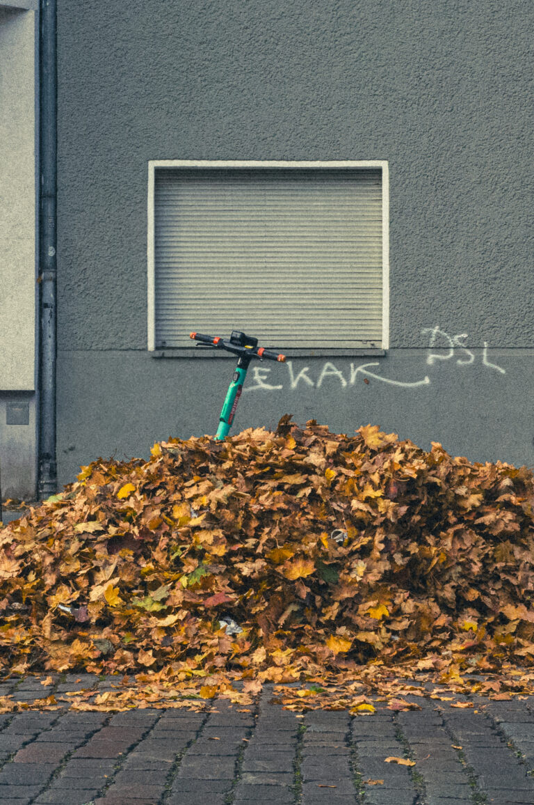 Photo by Ricardo Garcia