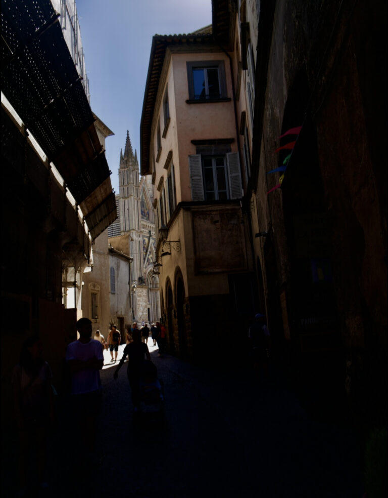 Photo by David Sheppard