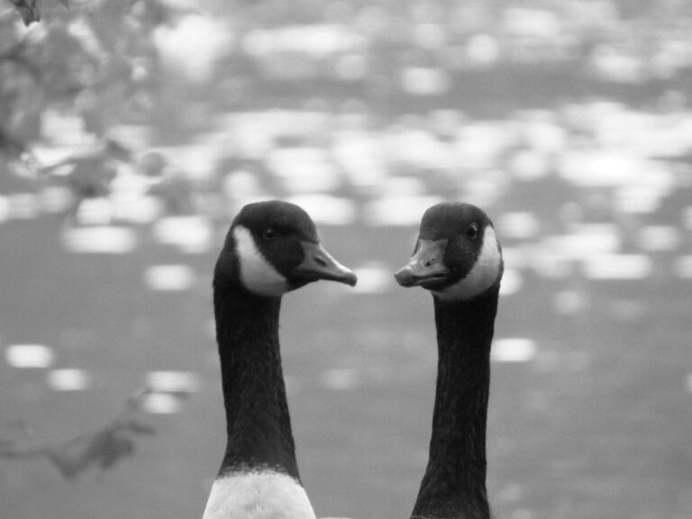 Photo by Yusuf Gungor