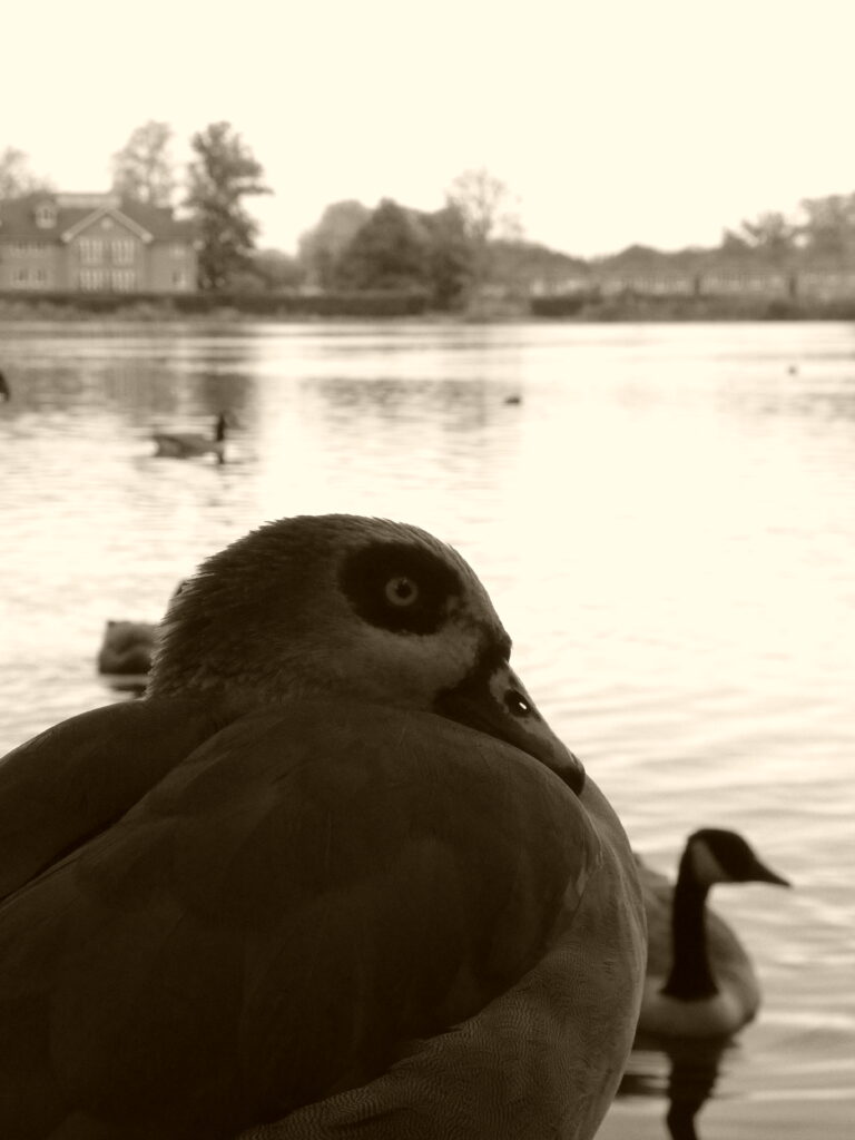 Photo by Yusuf Gungor