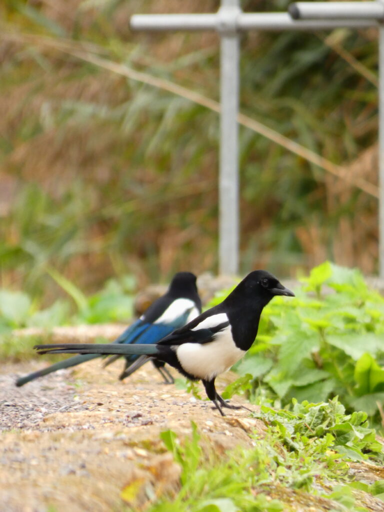 Photo by Yusuf Gungor