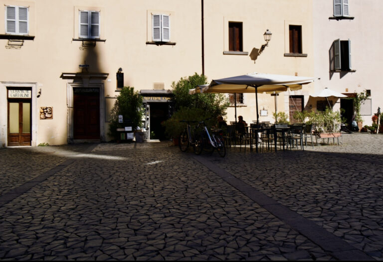 Photo by David Sheppard