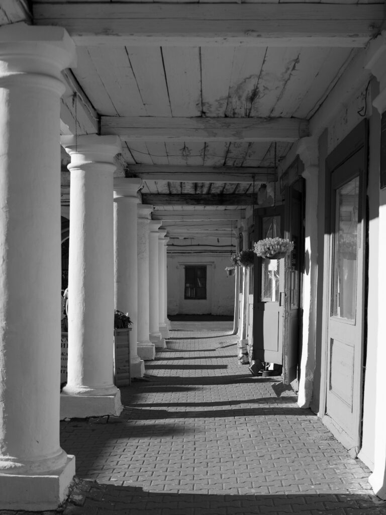 Photo by Dmitry Korol