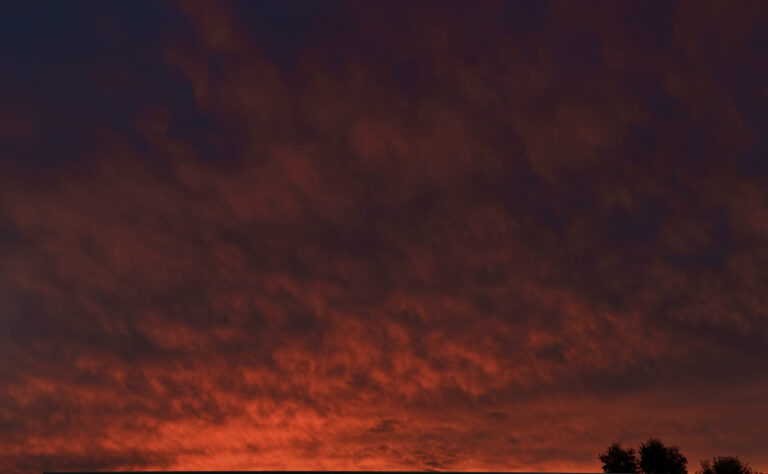 Photo by Mariana Carvalho