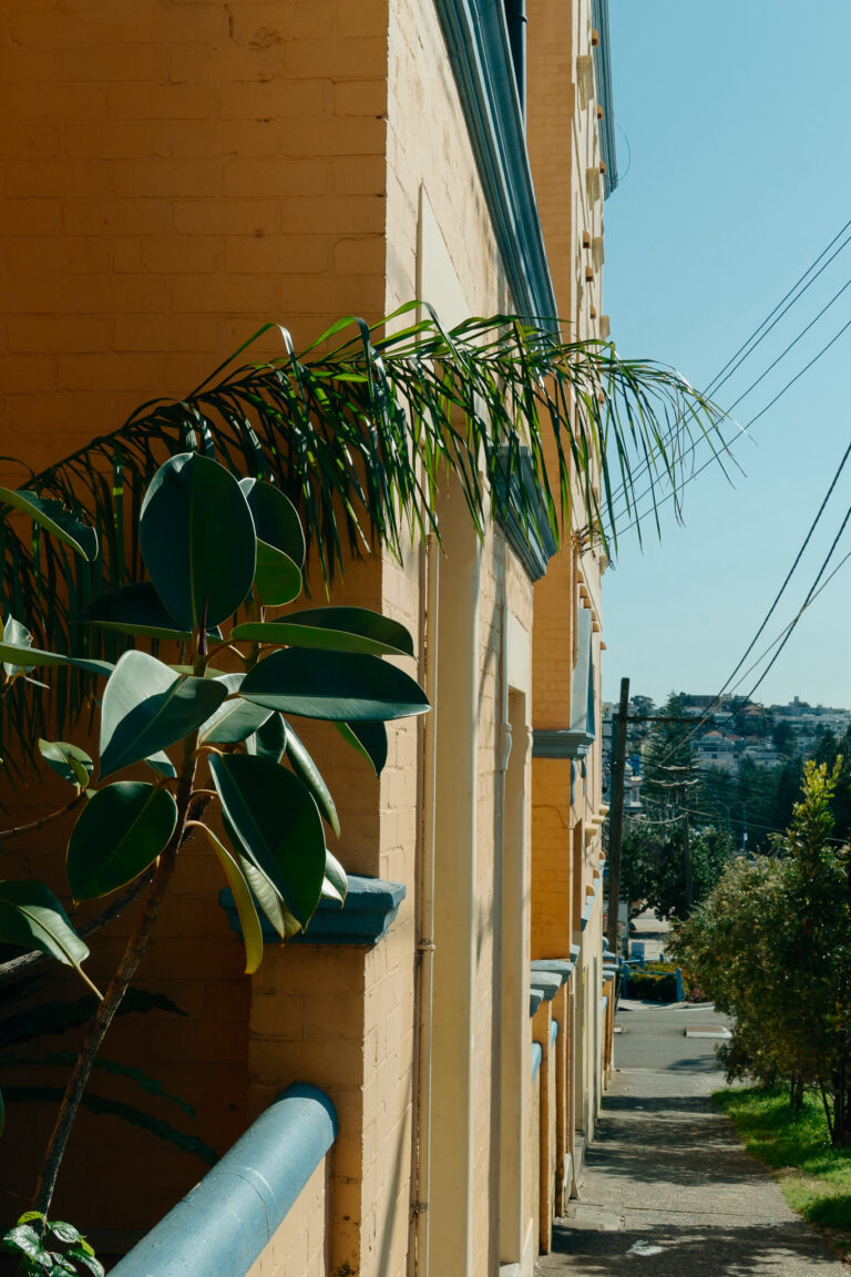 Photo by Stuart Grogan