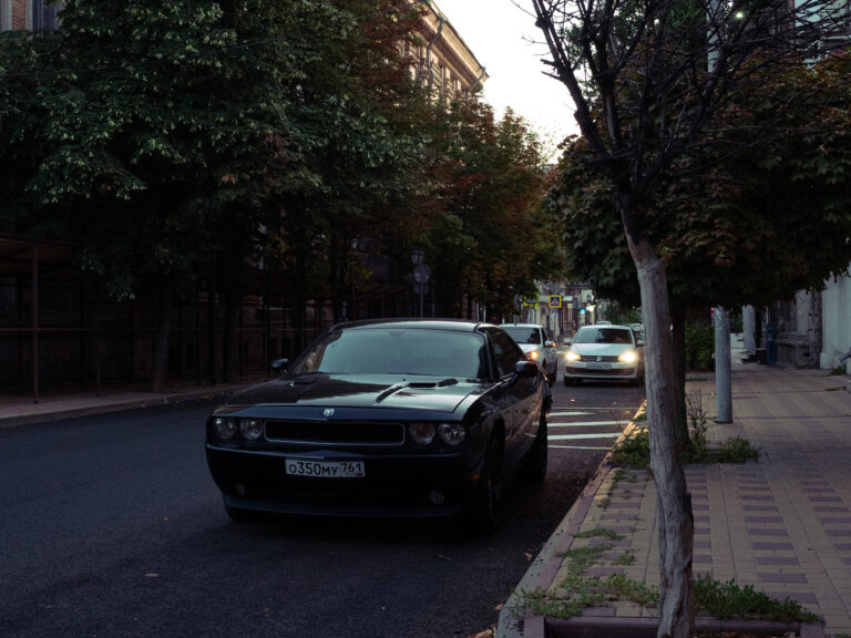 Photo by Dmitry Korol