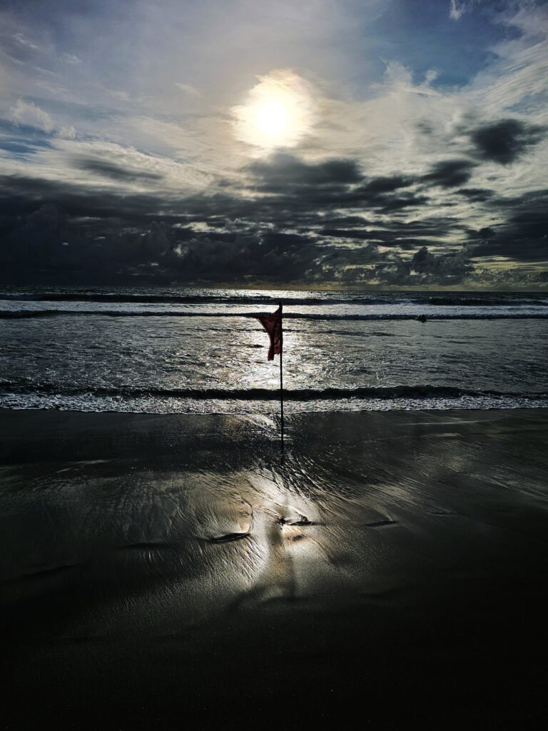 Photo by Steve Sherriff